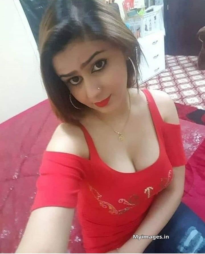 Faridabad Fantasies: Elite Companionship With Call Girls Service