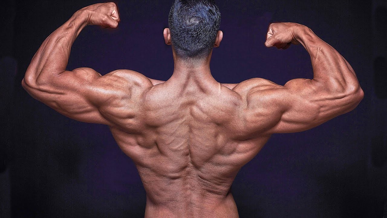 What Are the Most Effective Back Workouts with Dumbbells?