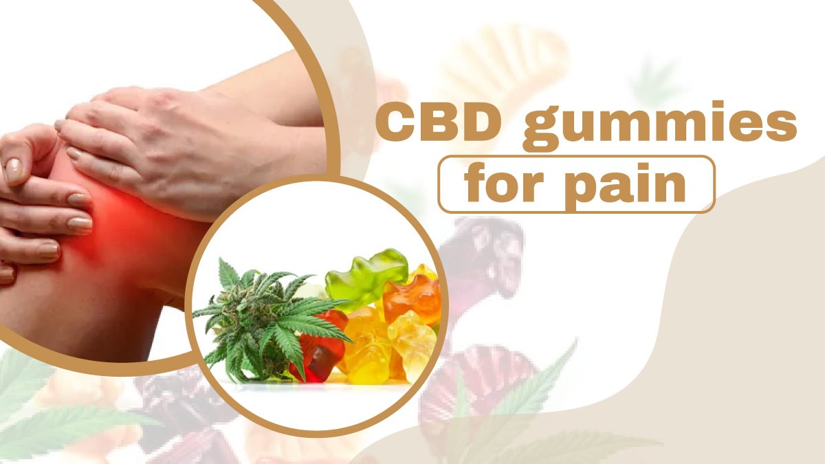 The Benefits and Uses of Clarity Bloom CBD Gummies: A Complete Guide