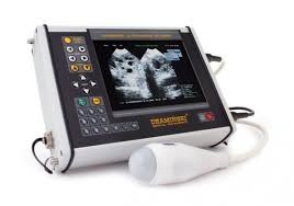 Europe Ultrasound Devices Market Analysis Size And Forecast Report 2024-2032