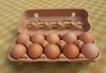 Everything You Need to Know About Egg Cartons