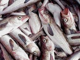 Groundfish Market Analysis Size And Forecast Report 2024-2030