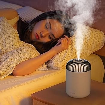 How To Make Your Dreamzy Humidifier Look Amazing In 8 Days