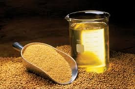 Soyabean Oil Market Analysis Size And Forecast Report 2024-2032