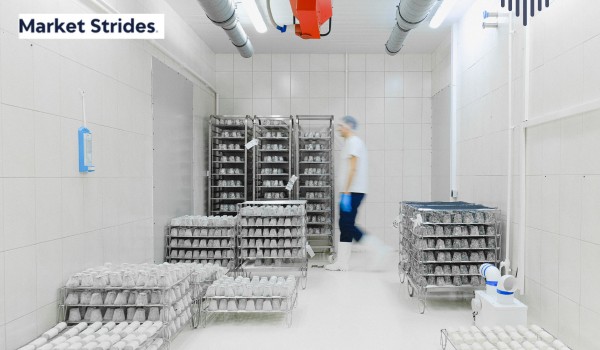 Cold Chain RFID Market Industry Report 2025-2033: Future Trends and Growth Analysis