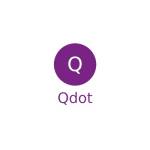 Qdot International Management System profile picture