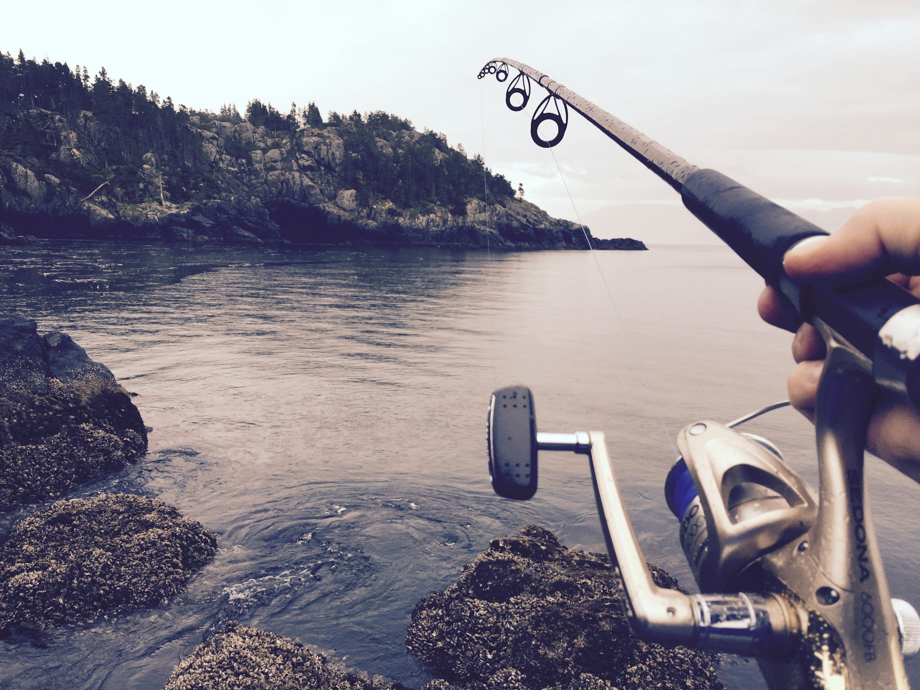 Selecting the Right Rod and Reel Combo: Assassin Edgesurf Spin Rod vs. Shimano 150XG Reel