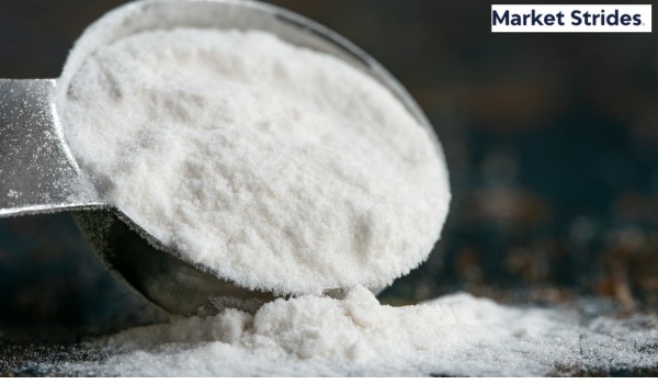 Sodium Polystyrene Sulfonate Powder Market Report 2025-2033: Trends, Opportunities, and Forecast