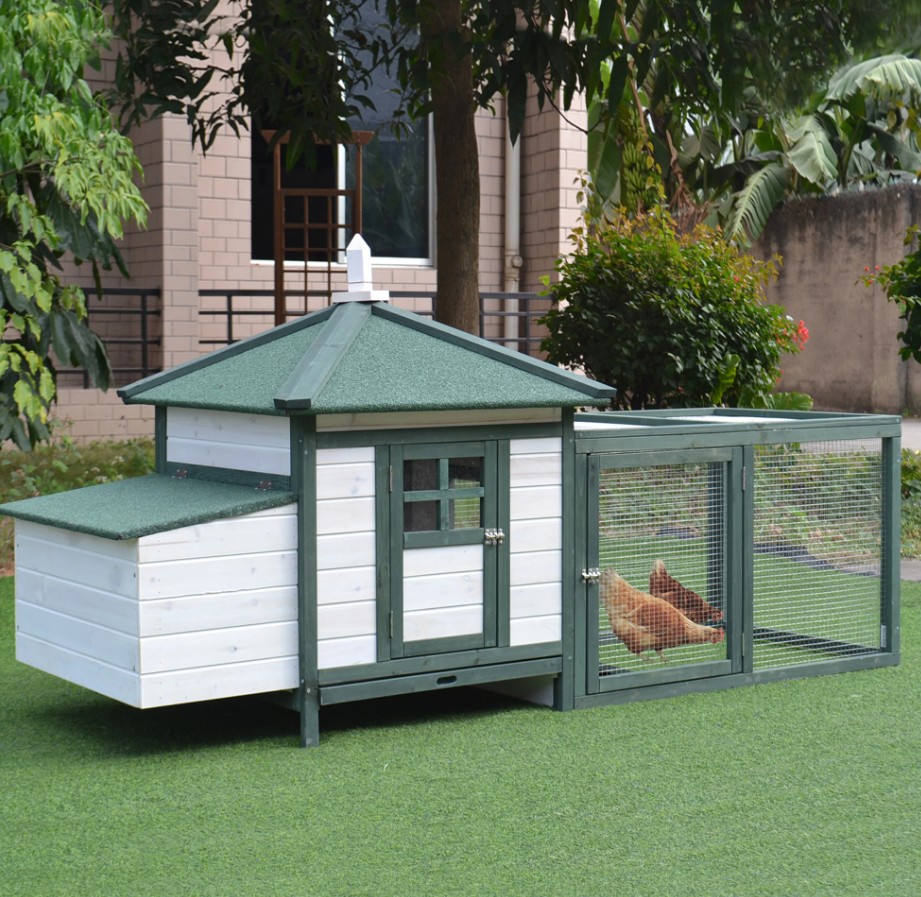 Transform Your Backyard with a Stylish Chicken Run for Sale