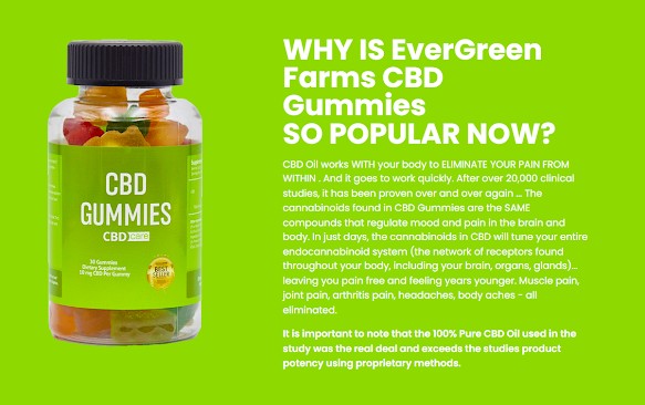 Everything You Need to Know About Evergreen CBD Gummies Reviews