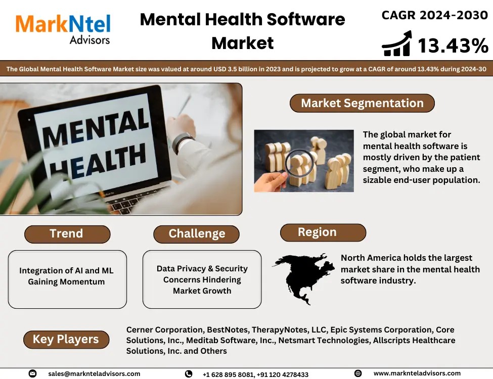 Mental Health Software Market Comprehensive Analysis and Forecast 2024-30