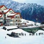 Auli Tour Packages Profile Picture