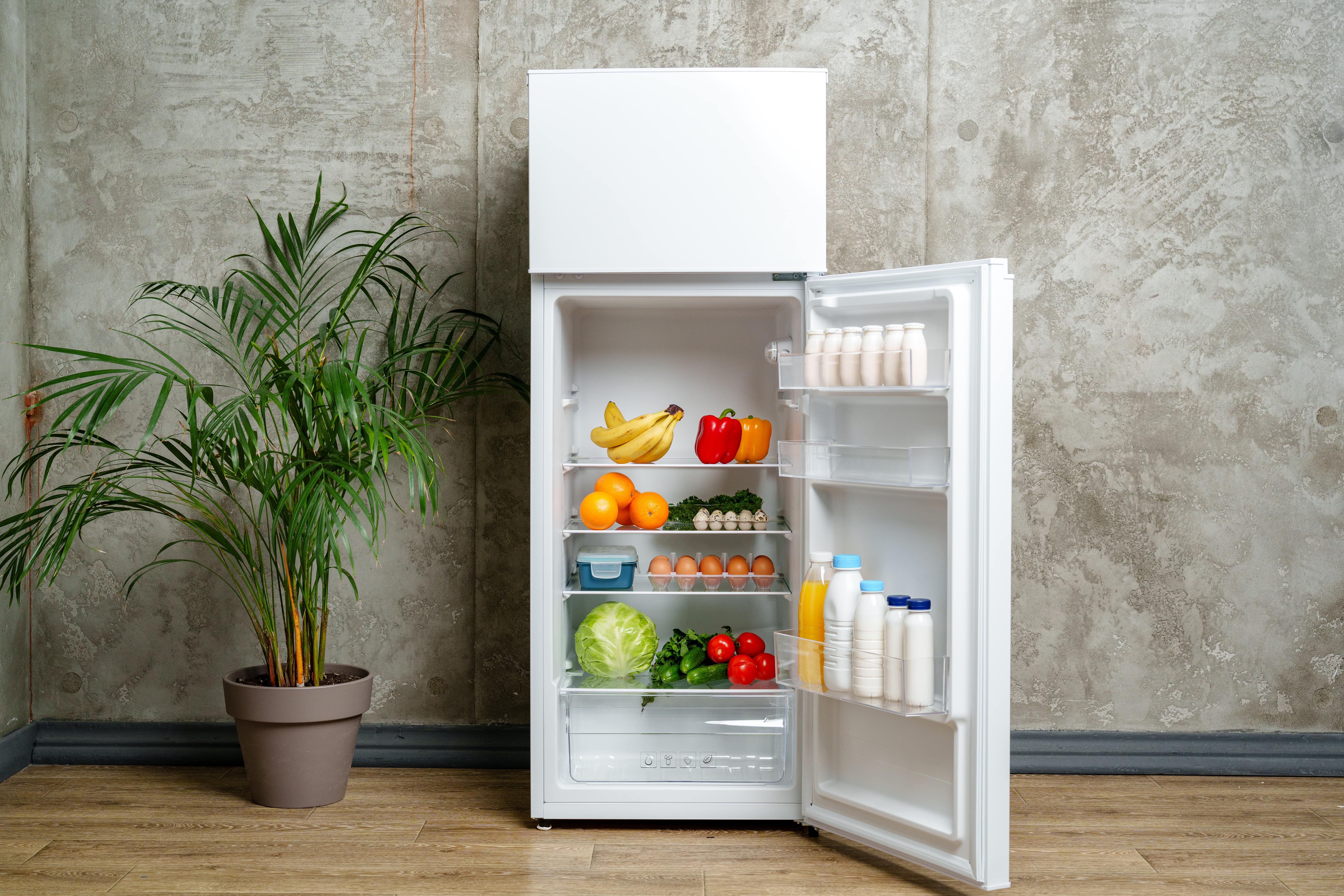 Fridge Freezer Next Day Delivery: A Comprehensive Guide