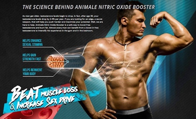 Maximize Your Results: Animale Nitric Oxide Canada [AU, NZ, IL, CA] Reviews