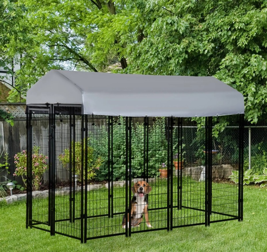 Dog Kennels: Why the Right Choice Matters