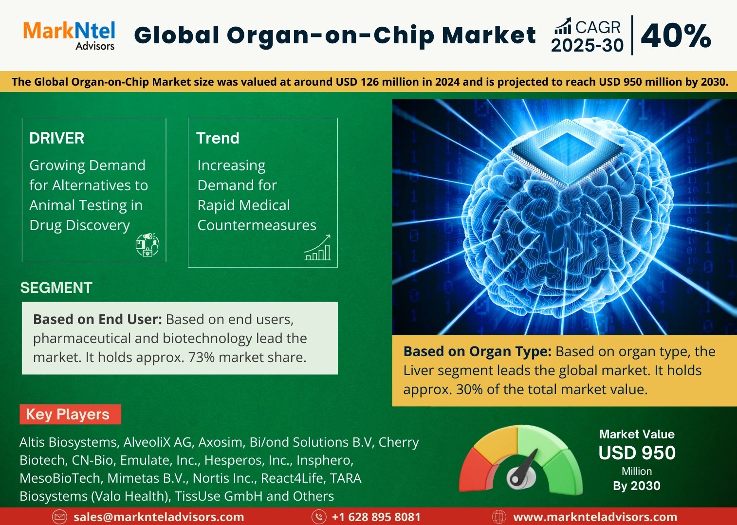 Global Organ-on-Chip Market Comprehensive Analysis and Forecast 2025 to 2030