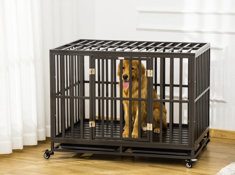 The Ultimate Guide to Choosing the Best Kennels for Dogs