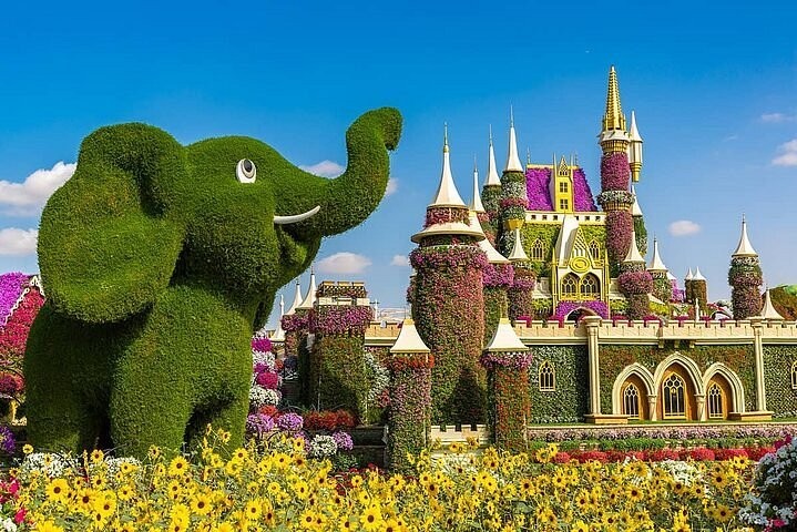 Dubai Miracle Garden: A Floral Wonderland in the Heart of Dubai