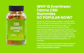 Evergreen Farms CBD Gummies Reviews Does It Really Work? My Honest Reviews Updated with Critical Warnings?