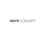 Haysconcept Profile Picture