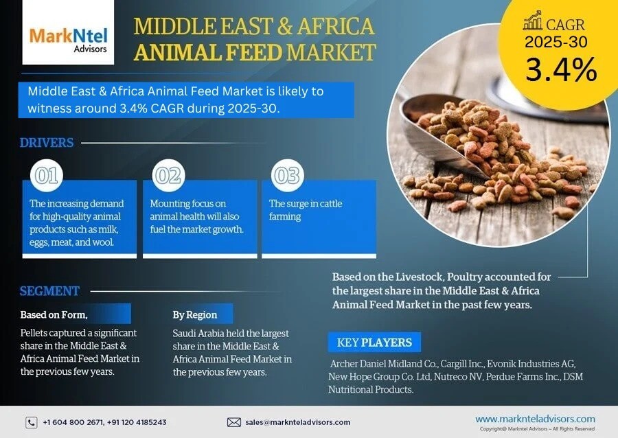 Forecast:  Middle East & Africa Animal Feed Market to Grow at 3.4% CAGR Over the Next Six Years