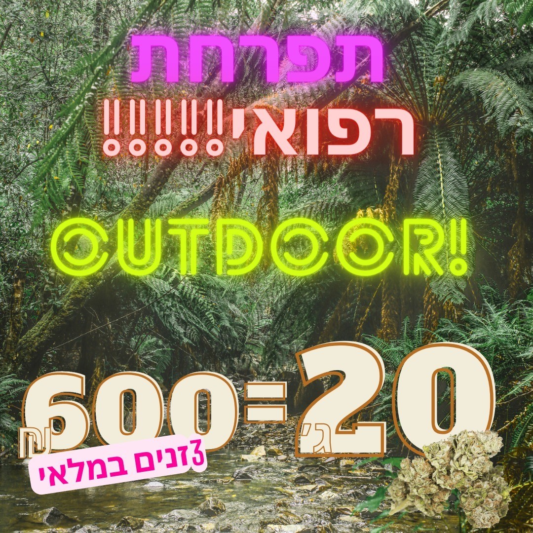 סיכון או נוחות? למה טלגרס כל כך פופולרי