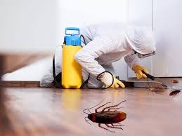 Pest Control Services UAE | Municipality Approved Pest Control Companies in UAE