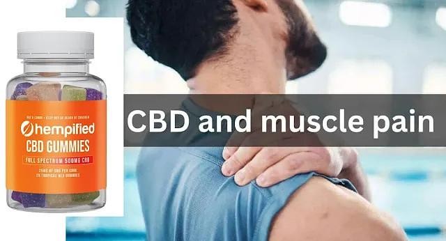 Hempified CBD Gummies :-(Official Page) Price For Consumers!
