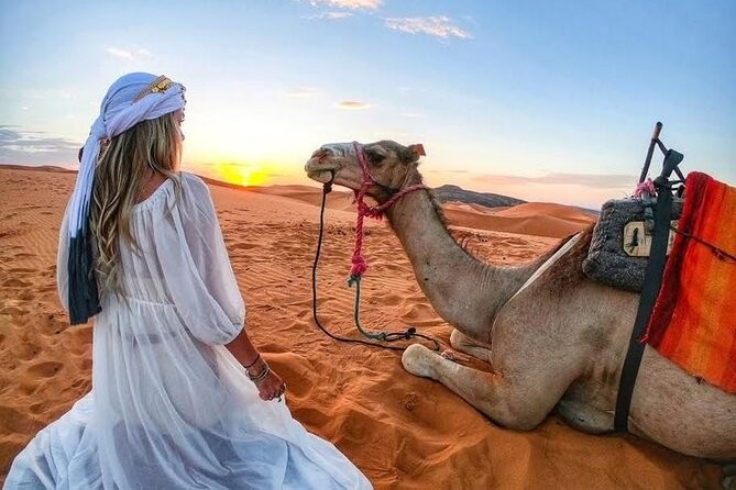 Exploring the Thrills of a Dubai Desert Safari