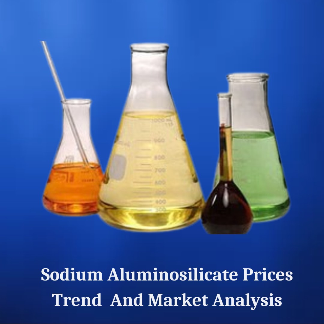 Sodium Aluminosilicate Market Size and Growth Outlook for 2025