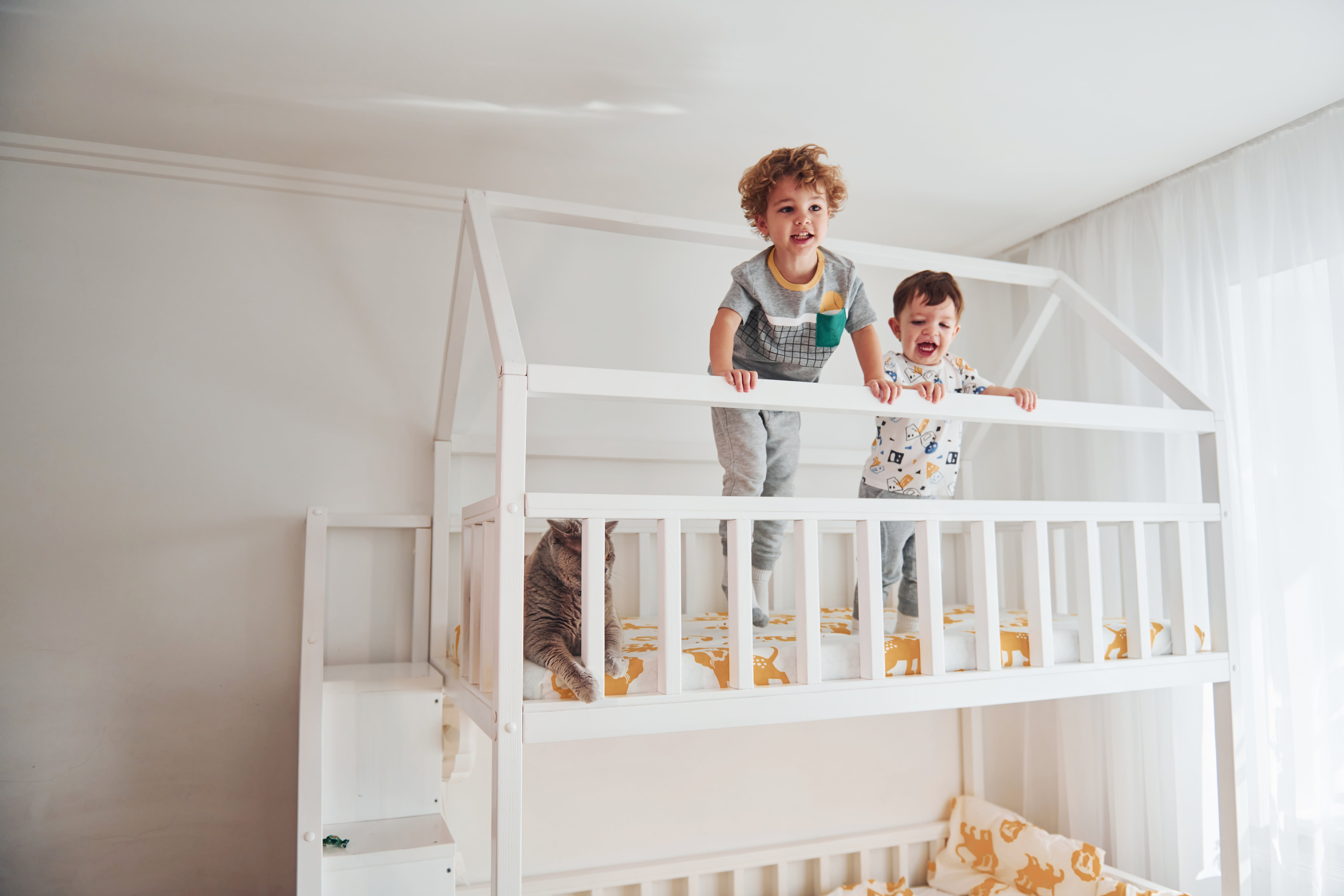 10 Misconceptions Your Boss Shares About Bunk Bed On Sale Bunk Bed On Sale