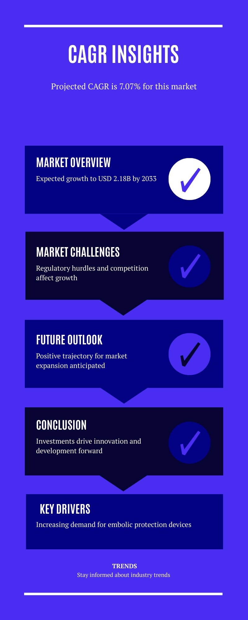 Embolic Protection Device Market Insights 2025-2033| Growth & Opportunity Analysis