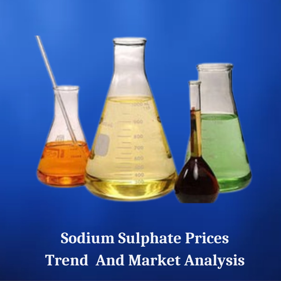 Sodium Sulphate Market Outlook: Regional Insights and Forecasts
