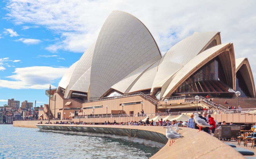 Visa Solutions Made Simple with PACE Immigration
