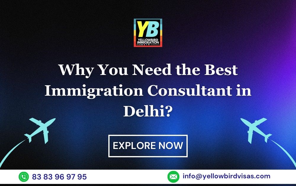 Why You Need the Best Immigration Consultant in Delhi for a Smooth Visa Process