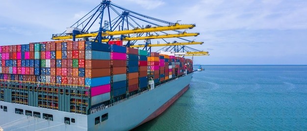How to Choose the Best Moving Company in Dubai for Shipping to New Zealand