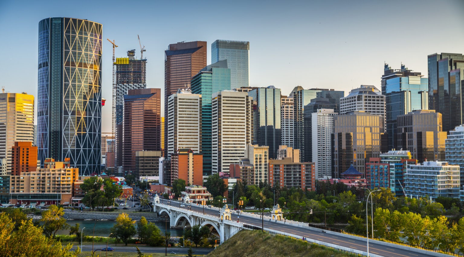 Why Choose Ducktoes for Computer Repair in Calgary?
