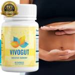 VivoGut Official profile picture