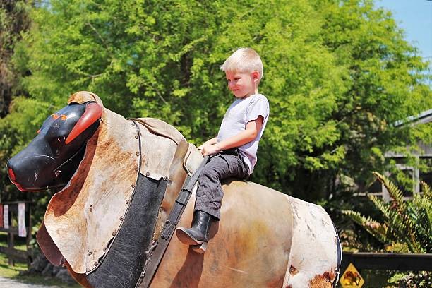 Safe & Fun Rodeo Bull Hire Norwich Rentals