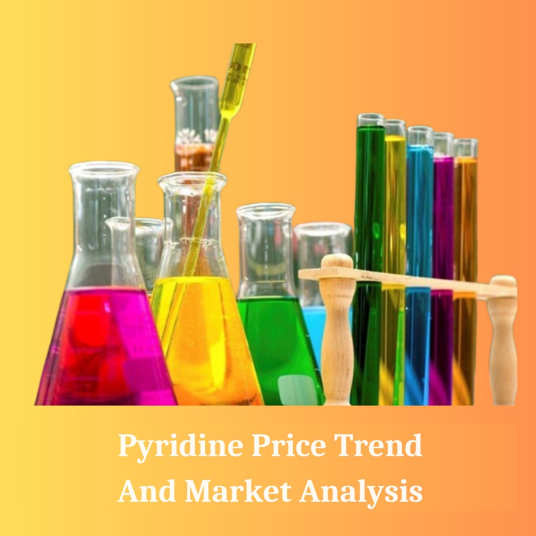 Pyridine Market Outlook 2025: Trends, Demand, and Forecast Made Simple