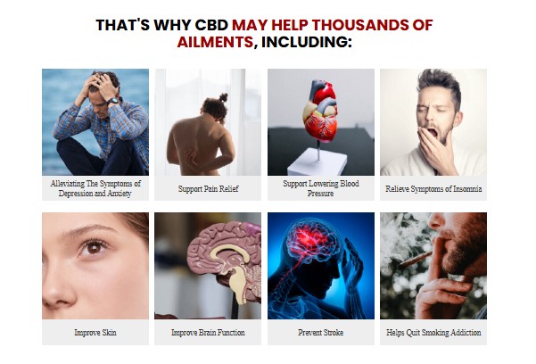 30 Ideas For Bliss Harmony Cbd Gummies