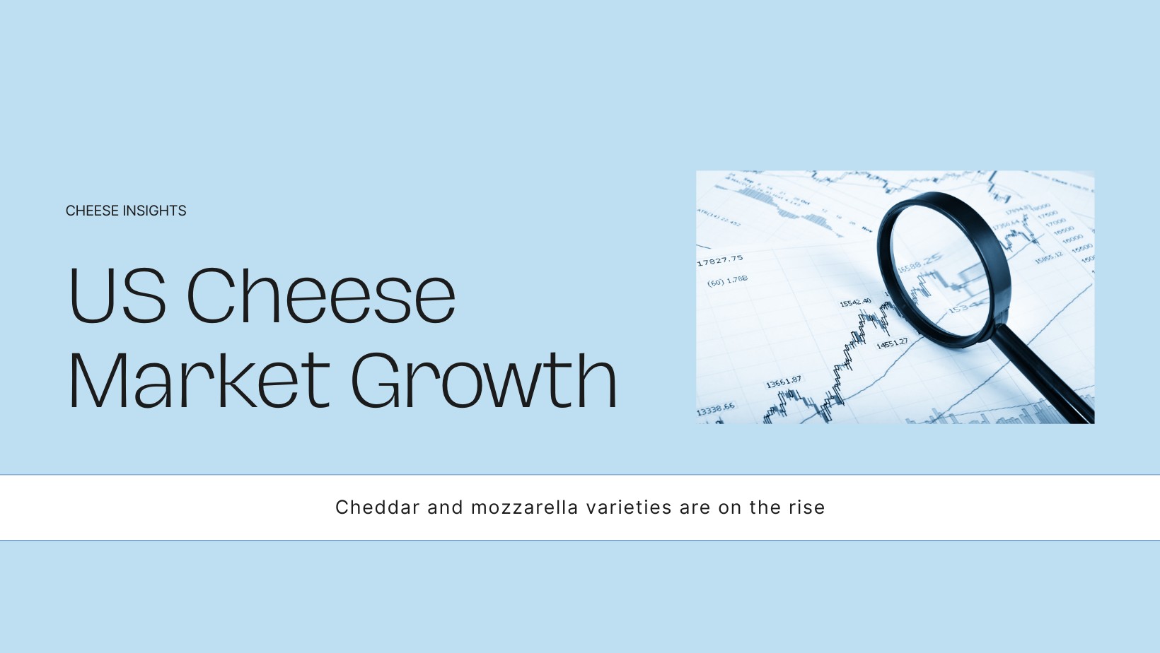 United States Cheese Market Companies Insights 2025-2033| Growth & Opportunity Analysis
