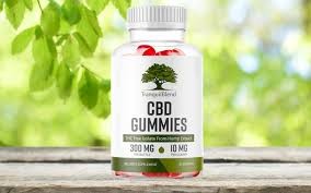Tranquil Vibe CBD Gummies(Alert-2025) A Natural Solution for Stress, Pain & Better Sleep Really Work!