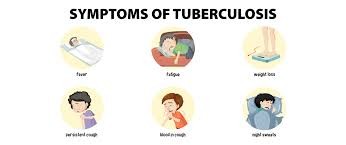 Tuberculosis (Bacteria): Causes, Symptoms, and How to Prevent This Silent Threat