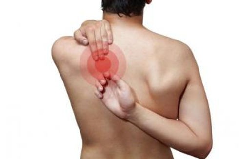 Nerve Freedom (Scam-2025) Support Nerve Health And Pain Relief!