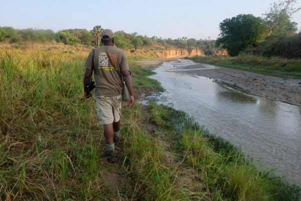 Walking Safaris Uganda – Custom Walking Safari Tours & Guided Safari Experiences