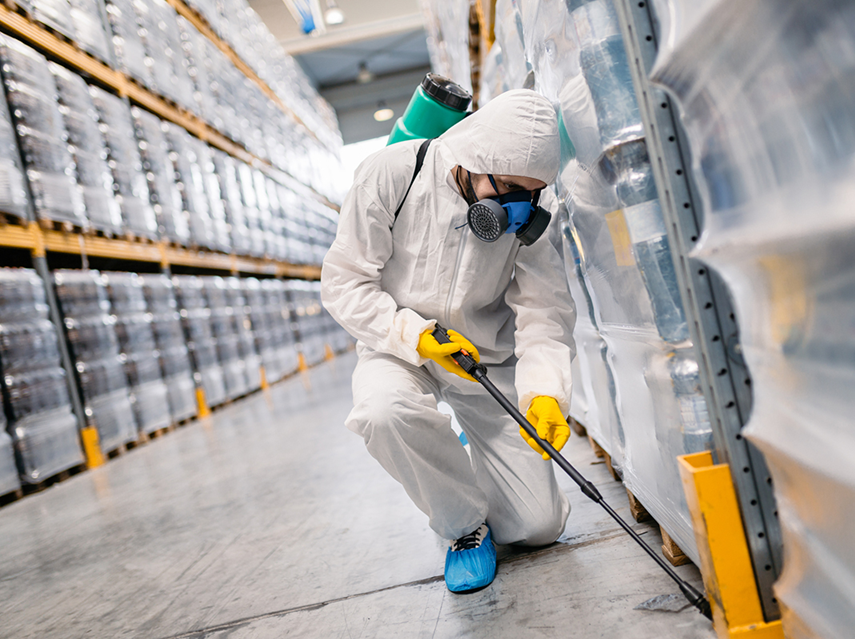Pest Control Perth, Affordable Pest Control Services Perth