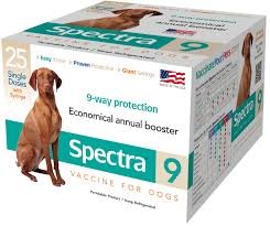 Booster Vaccine for Dogs: Why They Matter and When Your Pet Needs Them