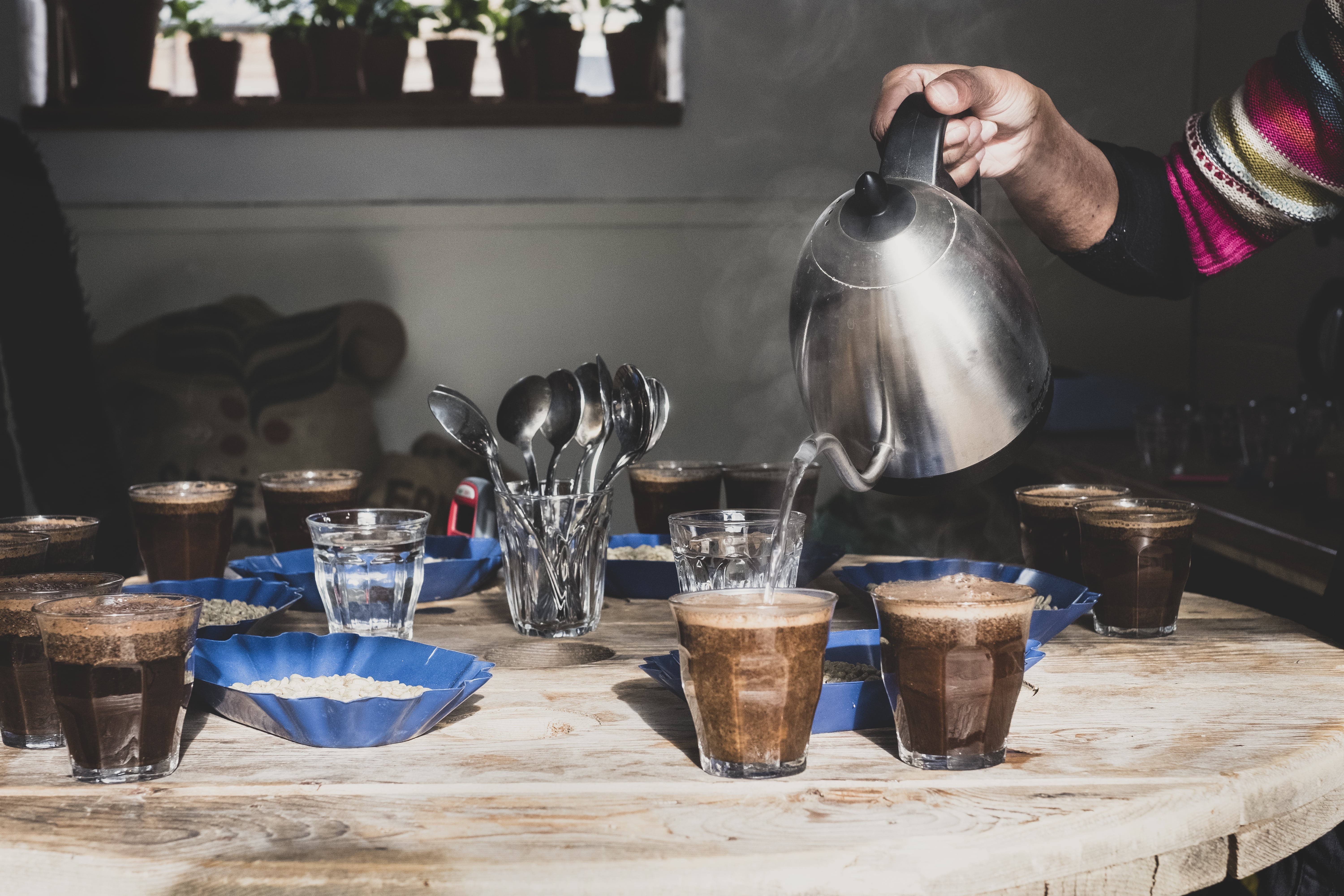 How Gusto Coffee Maker Became The Hottest Trend In 2024