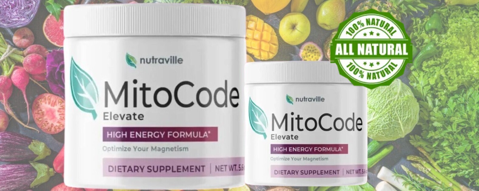 MitoCode (USER GUIDE) "STEP BY STEP INFO" HOW TO USE?